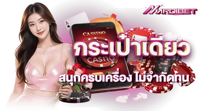 กระเป๋าเดียว สนุกครบเครื่อง ไม่จำกัดทุน